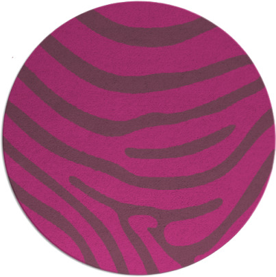 proud zebra rug - item 1136905