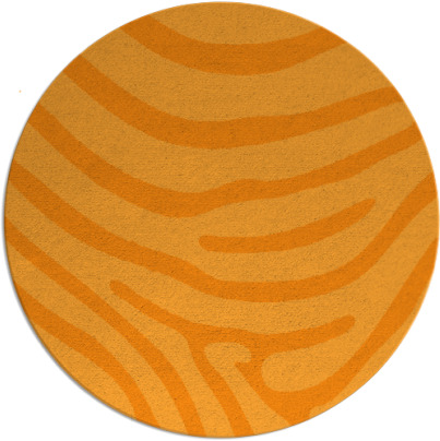 proud zebra rug - item 1136919