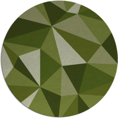 paragon rug - item 1145884