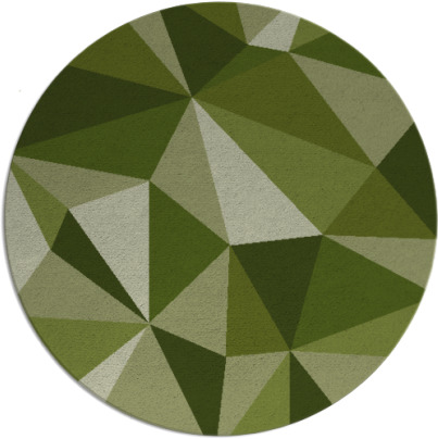 paragon rug - item 1145885