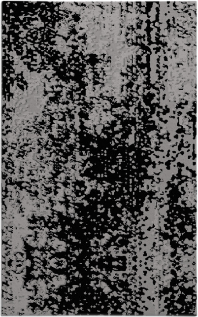 trace rug - item 1272594