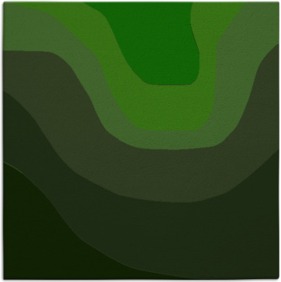 contour rug - item 1273724