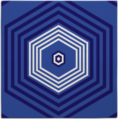 gateway rug - item 1277295