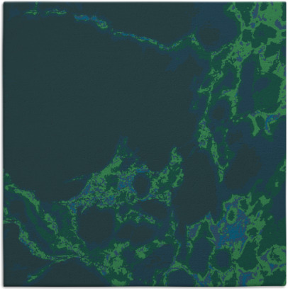 decay rug - item 1297500