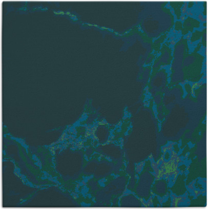 decay rug - item 1297502