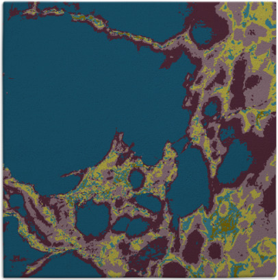 decay rug - item 1297511