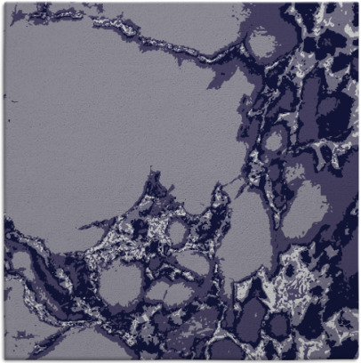 decay rug - item 1297523