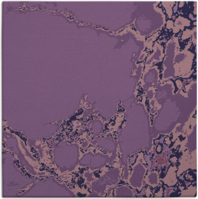 decay rug - item 1297534