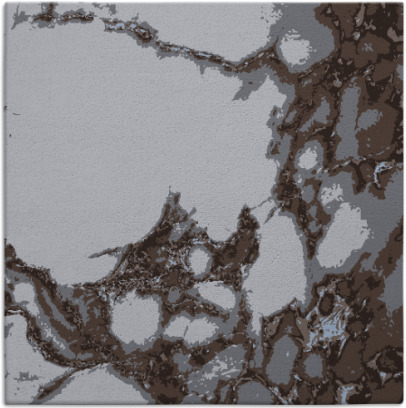 decay rug - item 1297543