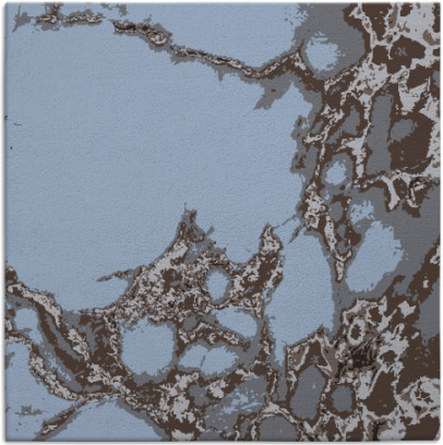 decay rug - item 1297546