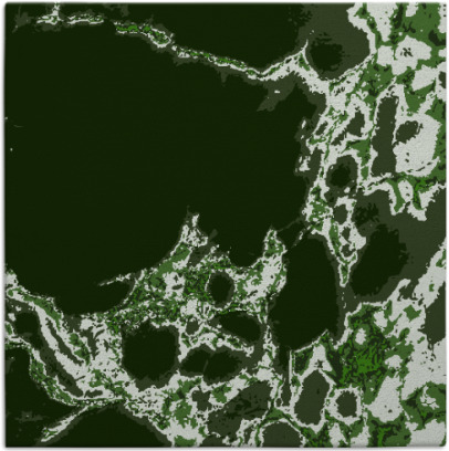 decay rug - item 1297580