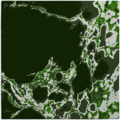 decay rug - item 1297582