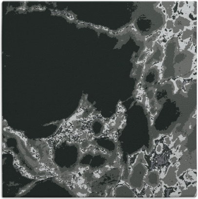 decay rug - item 1297584