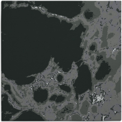 decay rug - item 1297586