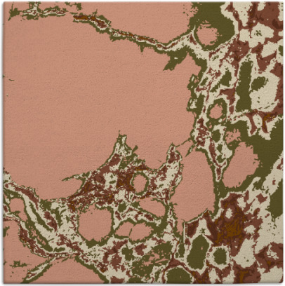 decay rug - item 1297589