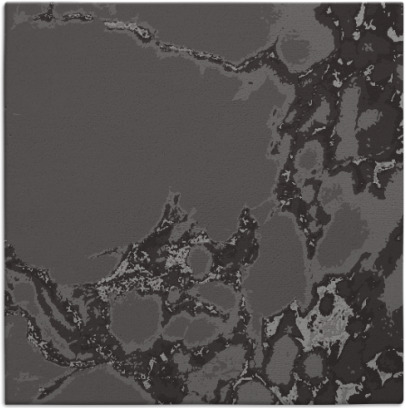 decay rug - item 1297591