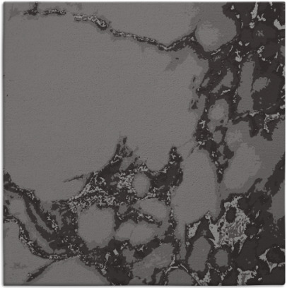 decay rug - item 1297592