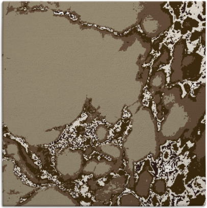 decay rug - item 1297599