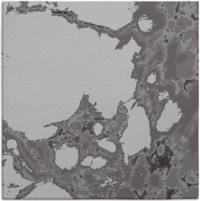 decay rug - item 1297631