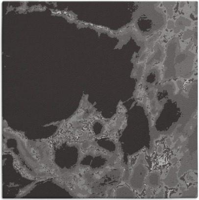 decay rug - item 1297632