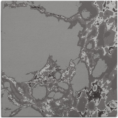 decay rug - item 1297633