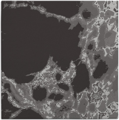 decay rug - item 1297634