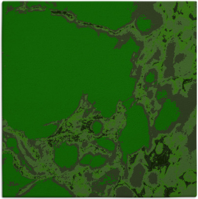 decay rug - item 1297643