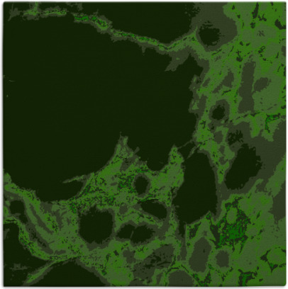 decay rug - item 1297644