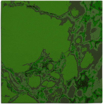 decay rug - item 1297645