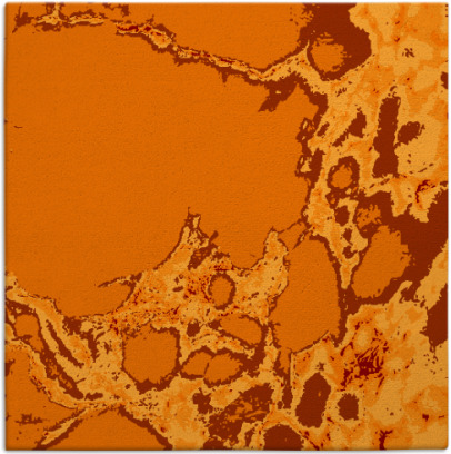 decay rug - item 1297647