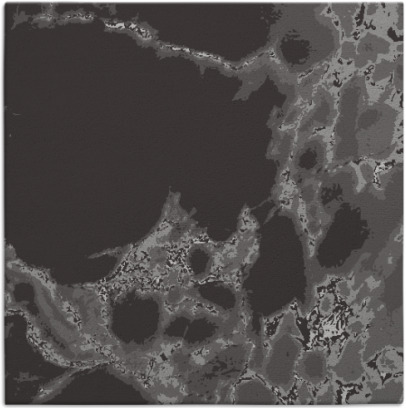 decay rug - item 1297659