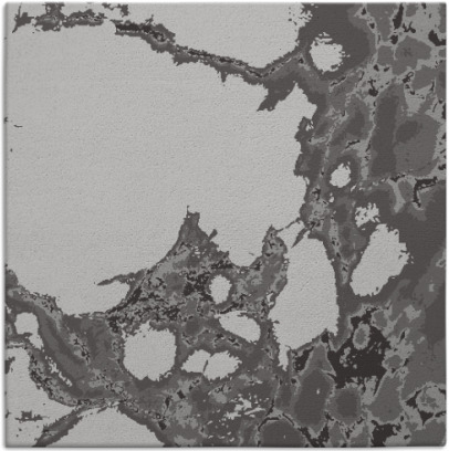 decay rug - item 1297660