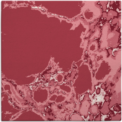 decay rug - item 1297669