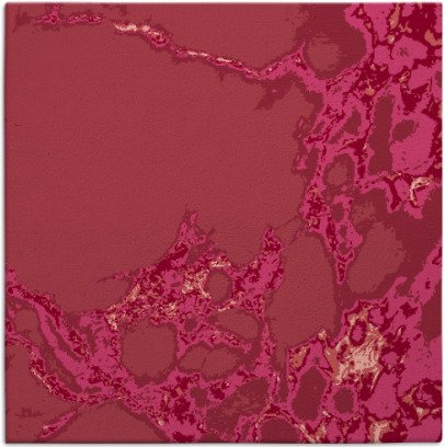 decay rug - item 1297671