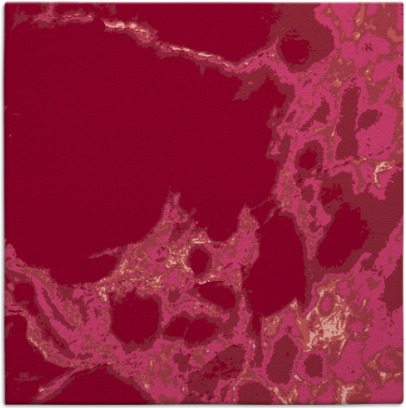 decay rug - item 1297673