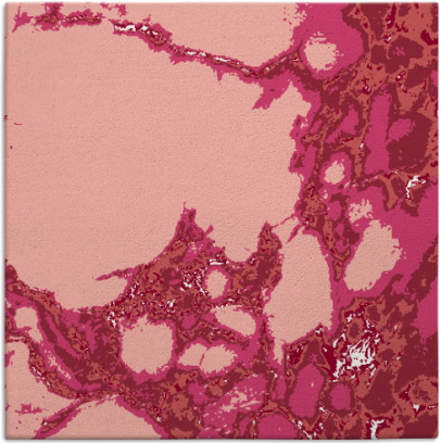 decay rug - item 1297675