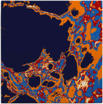 decay rug - item 1297697