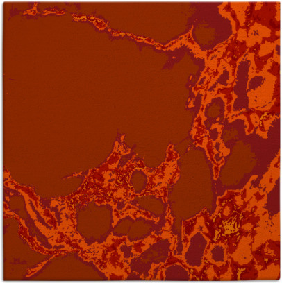 decay rug - item 1297701