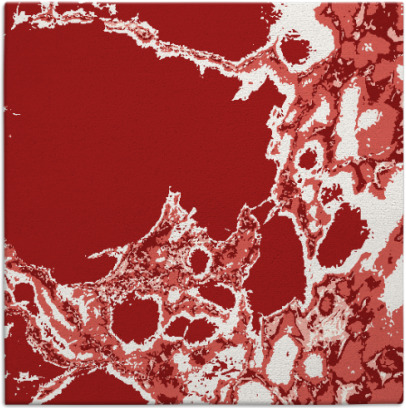 decay rug - item 1297703