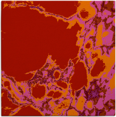 decay rug - item 1297707