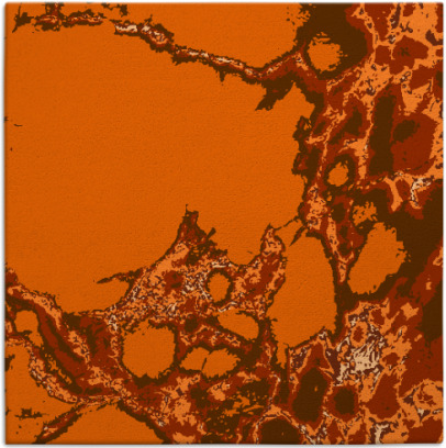 decay rug - item 1297715