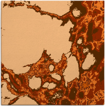 decay rug - item 1297716