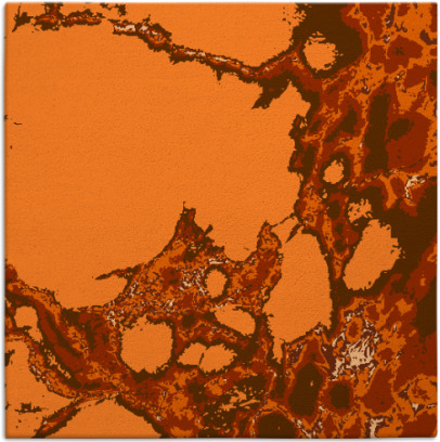 decay rug - item 1297717