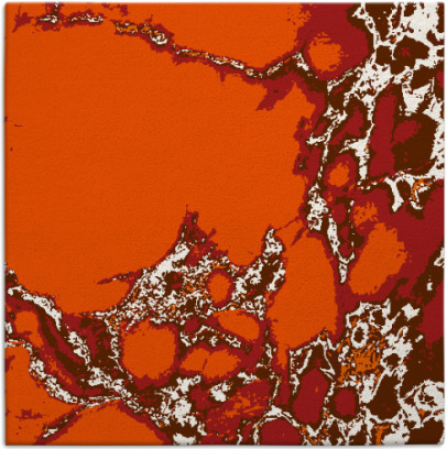 decay rug - item 1297725