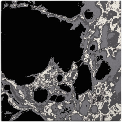 decay rug - item 1297730