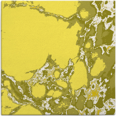 decay rug - item 1297733