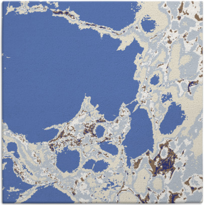 decay rug - item 1297737