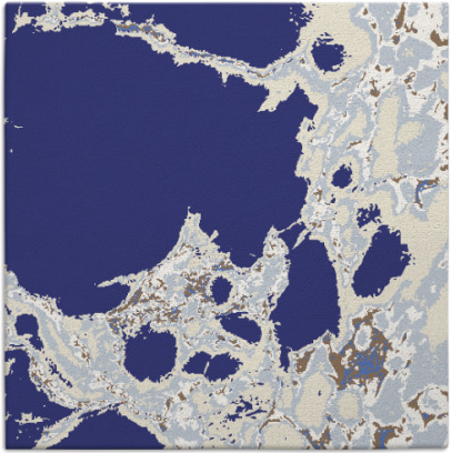 decay rug - item 1297738