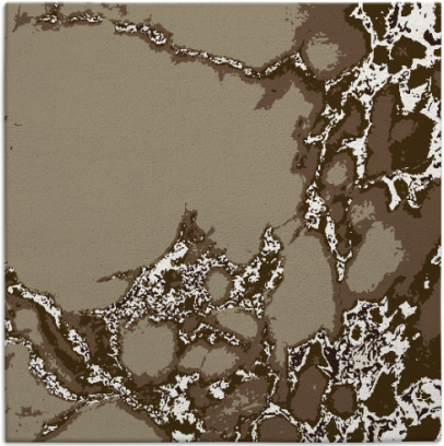 decay rug - item 1297754