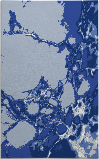 decay rug - item 1298221